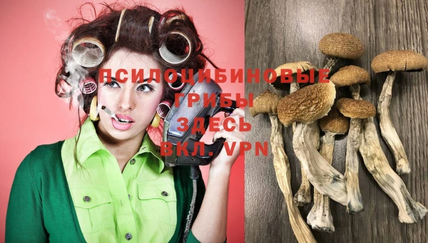 герыч Вяземский