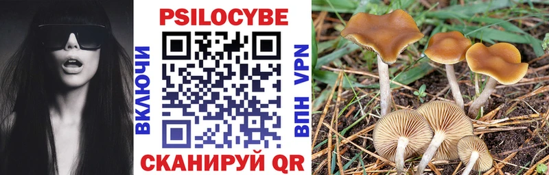 Галлюциногенные грибы ЛСД  Купить закладки  Кстово 