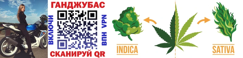Купить где  Кстово  Марихуана THC 21% 